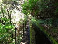 Levada_25_Fontes