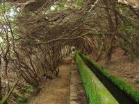 Levada_25_Fontes