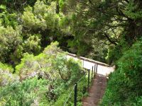 Levada_25_Fontes