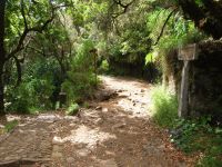 Levada_25_Fontes