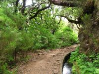 Levada_25_Fontes