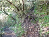 Vereda_LagoaVento
